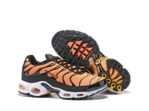 Nike Air Max Plus Tn-T022（40-46）