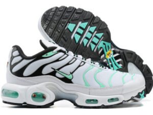 Nike Air Max Plus Tn-T079（40-46）