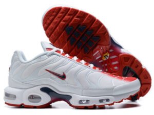 Nike Air Max Plus Tn-T112（40-46）