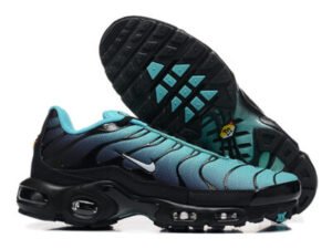 Nike Air Max Plus Tn （40-46）