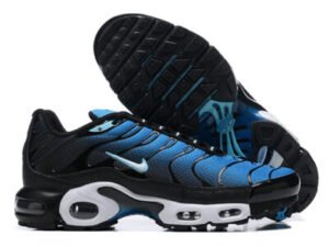 Nike Air Max Plus Tn （40-46）