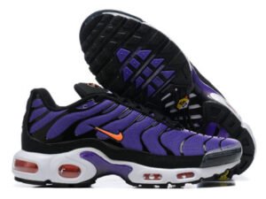 Nike Air Max Plus Tn （40-46）