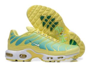 Nike Air Max Plus Tn （40-46）