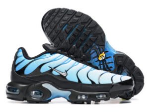 Nike Air Max Plus Tn （40-46）
