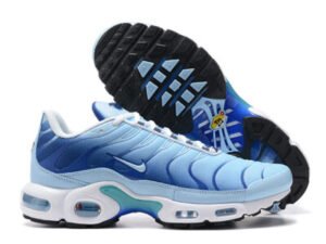 Nike Air Max Plus Tn （40-46）