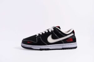 Nike SB Dunk Low Retro&  The North Face